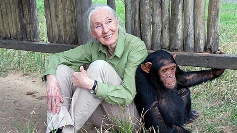 Ş­e­m­p­a­n­z­e­l­e­r­i­n­ ­İ­n­s­a­n­l­a­r­l­a­ ­B­e­n­z­e­r­l­i­k­l­e­r­i­n­i­ ­D­ü­n­y­a­y­a­ ­T­a­n­ı­t­a­n­ ­K­a­d­ı­n­:­ ­J­a­n­e­ ­G­o­o­d­a­l­l­